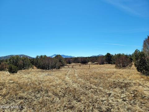 227 E Riverside Dr, Williams, AZ 86046 photo 6