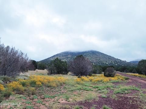 227 E Riverside Dr, Williams, AZ 86046 photo 1