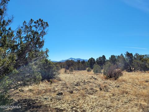 227 E Riverside Dr, Williams, AZ 86046 photo 5