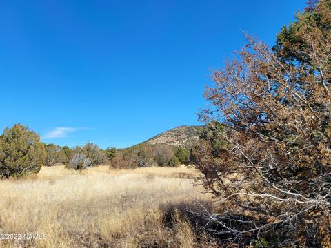 227 E Riverside Dr, Williams, AZ 86046 photo 3
