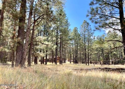 2378 Blue Ridge Dr, Happy Jack, AZ 86024