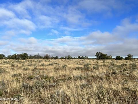 2920 N Frontier Lot C - 12 Ac, Williams, AZ 86046