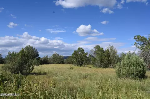 01 Terry Ln, Williams, AZ 86046