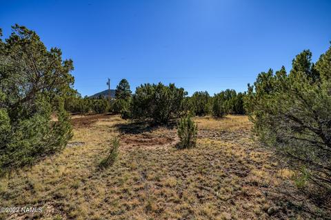 832 E Alimos Way, Williams, AZ 86046 photo 37