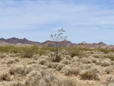 11564 W Carter Rd, Golden Valley, AZ 86413
