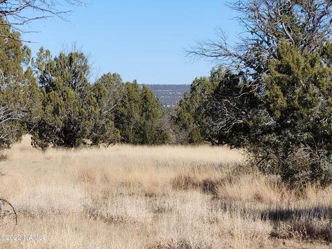 28 Duncan Dr, Ash Fork, AZ 86320 photo 4