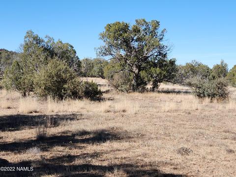 28 Duncan Dr, Ash Fork, AZ 86320 photo 3
