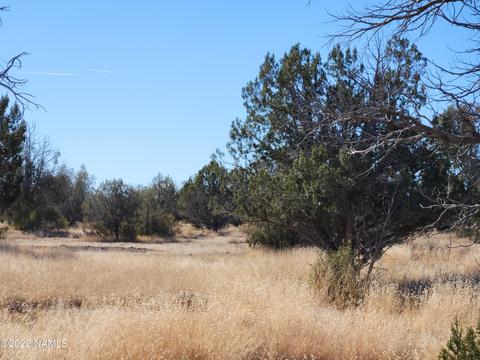 28 Duncan Dr, Ash Fork, AZ 86320 photo 2