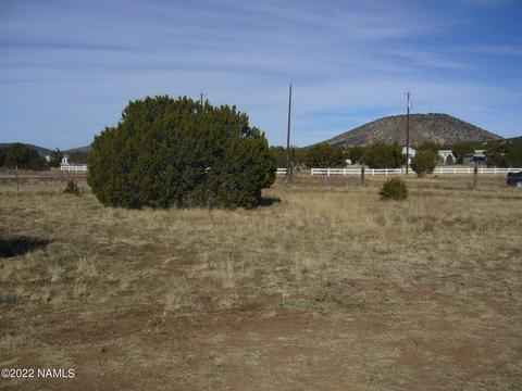 1608 E Prospect Ln, Williams, AZ 86046 photo 5