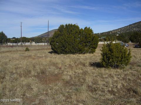 1608 E Prospect Ln, Williams, AZ 86046 photo 6