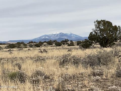 8927 W Shingle Oak And 4674 Starlit Ln, Williams, AZ 86046