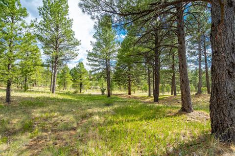 1859 E Marengo Ct #137, Flagstaff, AZ 86005