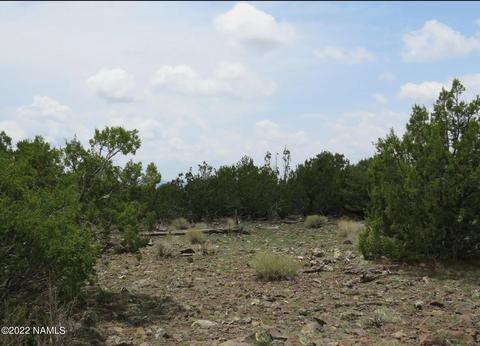 12663 Mesa View Rd, Williams, AZ 86046 photo 12