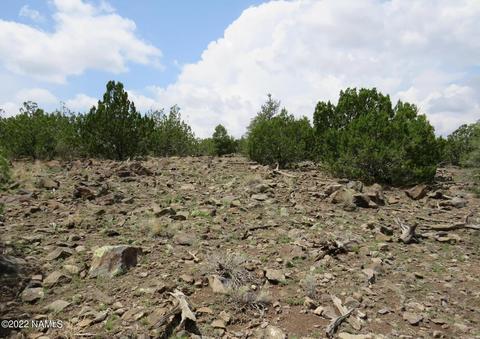12663 Mesa View Rd, Williams, AZ 86046 photo 5