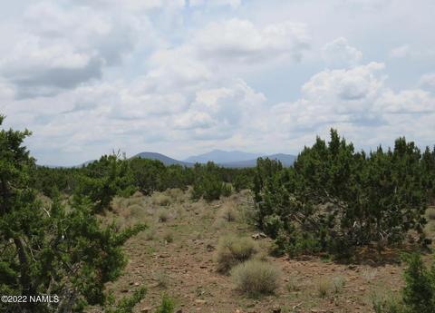 12663 Mesa View Rd, Williams, AZ 86046