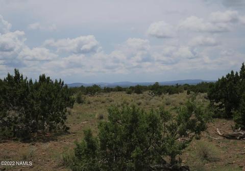 12663 Mesa View Rd, Williams, AZ 86046 photo 9