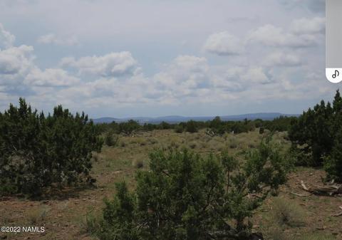 12663 Mesa View Rd, Williams, AZ 86046 photo 10