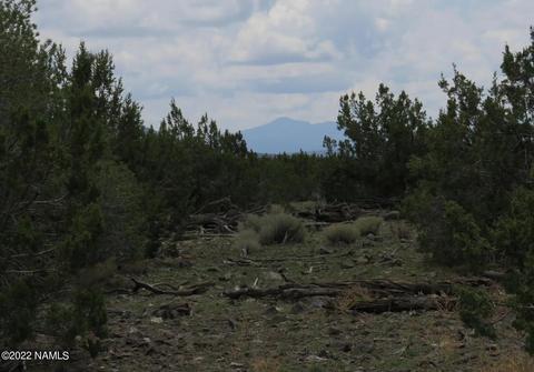 12663 Mesa View Rd, Williams, AZ 86046 photo 17