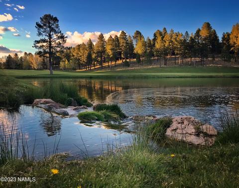 1987 E Bare Oak Loop #242, Flagstaff, AZ 86005 photo 26
