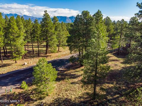 1987 E Bare Oak Loop #242, Flagstaff, AZ 86005 photo 13