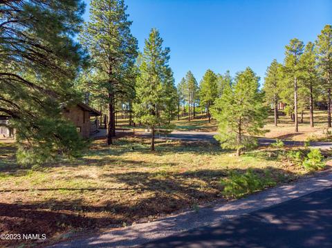 1987 E Bare Oak Loop #242, Flagstaff, AZ 86005 photo 3