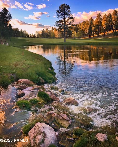 1987 E Bare Oak Loop #242, Flagstaff, AZ 86005 photo 25