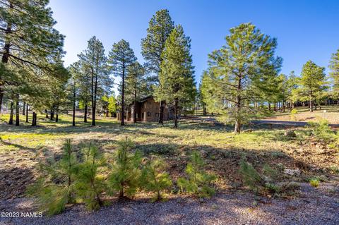 1987 E Bare Oak Loop #242, Flagstaff, AZ 86005