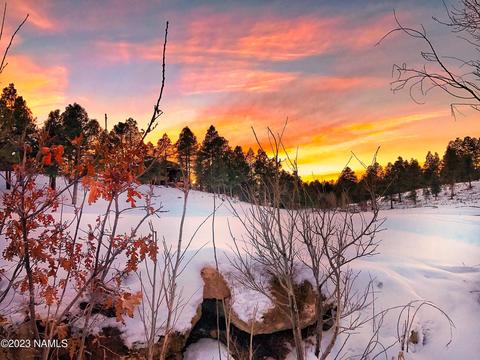 1987 E Bare Oak Loop #242, Flagstaff, AZ 86005 photo 27