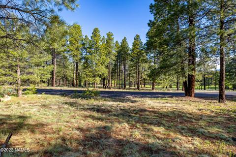 1987 E Bare Oak Loop #242, Flagstaff, AZ 86005 photo 8