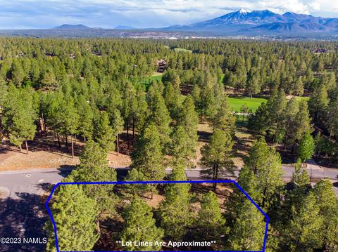 1987 E Bare Oak Loop #242, Flagstaff, AZ 86005 photo 9