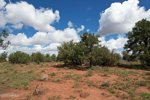 2938 S Fair Oaks, Williams, AZ 86046