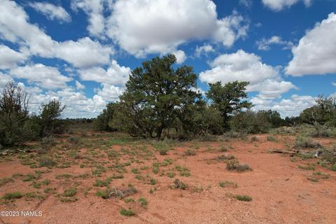 2966 S Fair Oaks, Williams, AZ 86046