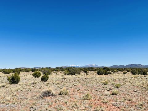 6868 Lasso Loop #LOT A, Williams, AZ 86046
