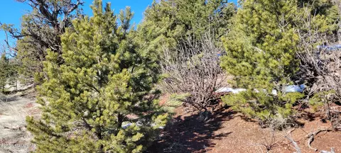 1669 E Sagebrush Rd, Williams, AZ 86046 photo 14
