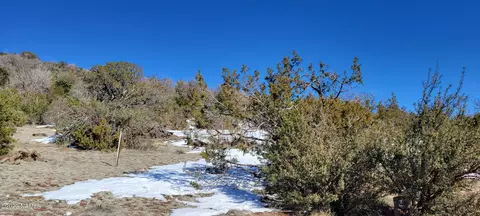 1669 E Sagebrush Rd, Williams, AZ 86046 photo 16