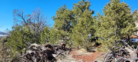 1669 E Sagebrush Rd, Williams, AZ 86046 photo 11