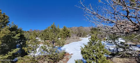 1669 E Sagebrush Rd, Williams, AZ 86046 photo 7