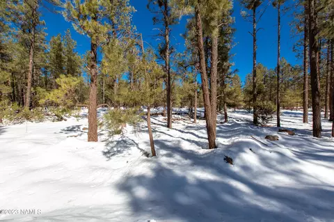 7889 E Long Bow Dr #83, Williams, AZ 86046