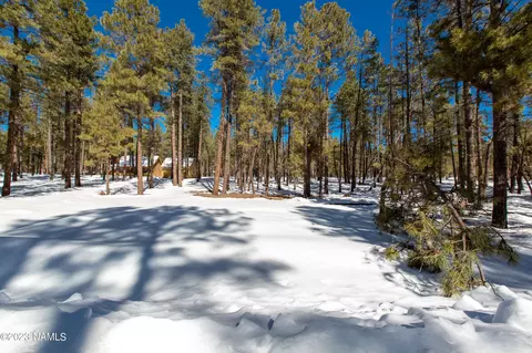 7889 E Long Bow Dr #83, Williams, AZ 86046 photo 4