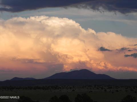 6627 S Smoketree - Parcel B 12 Ac Rd #299, Williams, AZ 86046