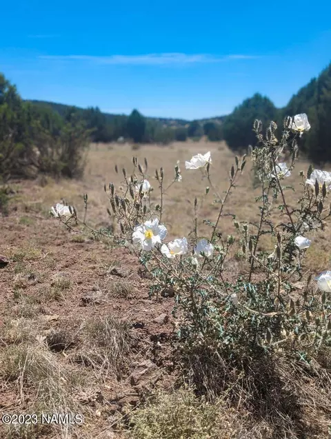 5278 N Wall St #264, Ash Fork, AZ 86320