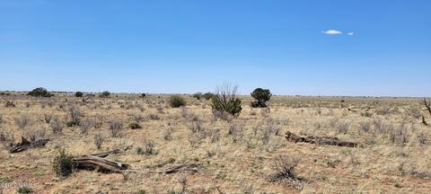 474 E Vassar Ave, Williams, AZ 86046 photo 7