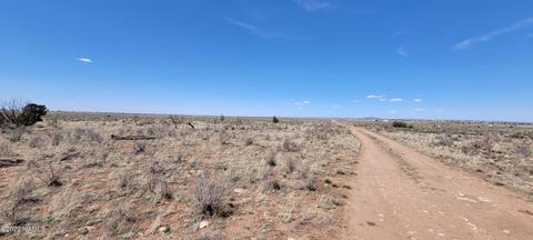 474 E Vassar Ave, Williams, AZ 86046 photo 3