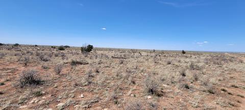 474 E Vassar Ave, Williams, AZ 86046 photo 5
