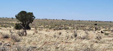 474 E Vassar Ave, Williams, AZ 86046 photo 12