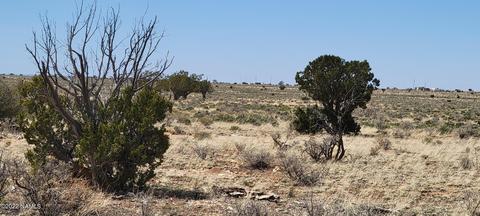 474 E Vassar Ave, Williams, AZ 86046 photo 11