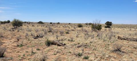 474 E Vassar Ave, Williams, AZ 86046 photo 8