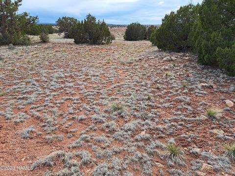 4902 Us Highway 180, Valle, AZ 86046