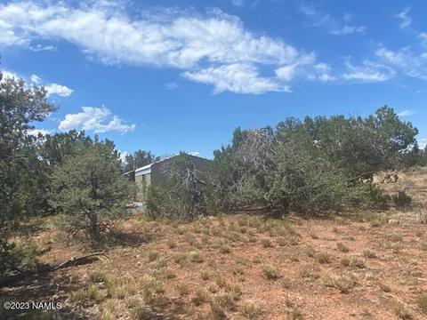 4328 Parker Dr, Williams, AZ 86046 photo 6