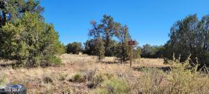 4328 Parker Dr, Williams, AZ 86046 photo 7